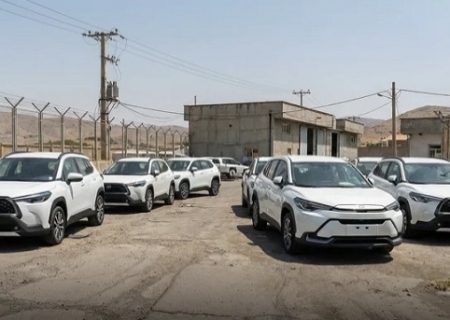 برندهای شناخته شده؛ بهترین گزینه برای واردات