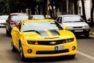 موافقت با صدور پلاک خودرو منطقه آزاد بوشهر